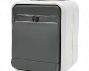 Buton cu revenire cu bec IP44, gri/gri