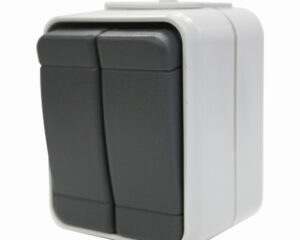 Buton dublu cu revenire IP44, gri/gri