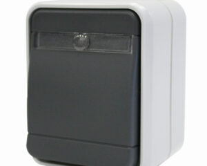 Buton cu revenire cu bec IP44, gri/gri