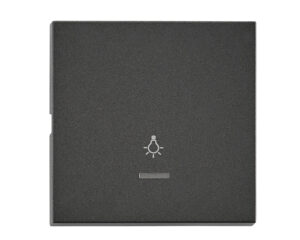 Clapetă cu fereastră control transp, simb luminos, antracit