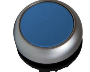 Buton comanda cu revenire albastru