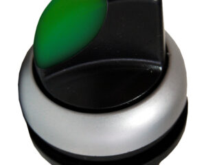 Buton selector 0-1 cu revenire verde