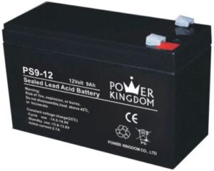Baterie Power Kingdom PS curent mare 12V/9,0Ah