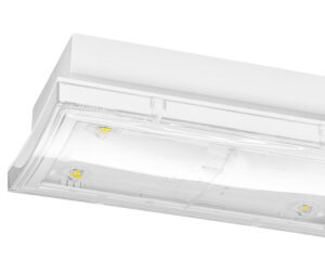 Corp de il de sig PM WirelessControl 4x1W ERT-LED 8h 230V AC