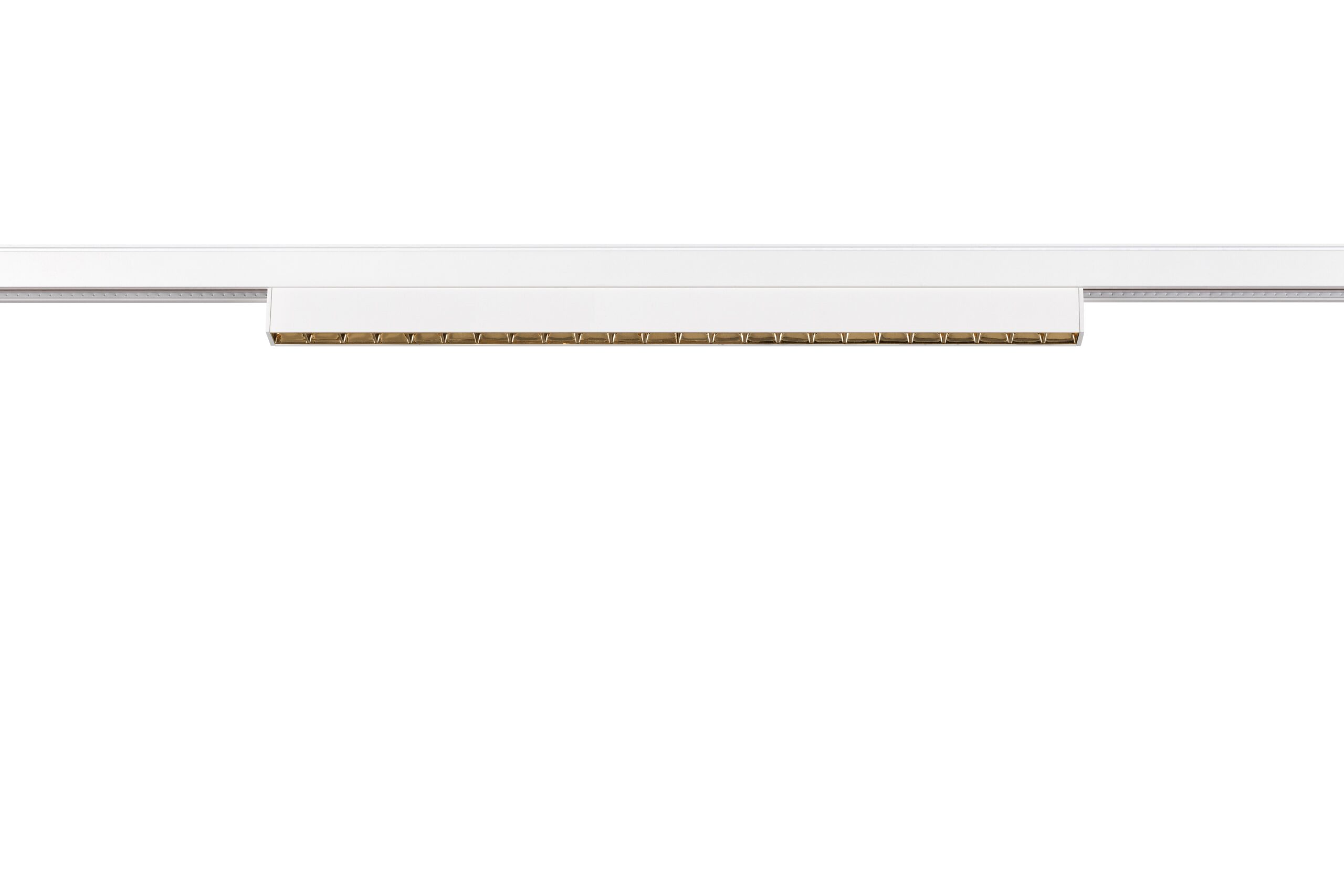 IN-LINE 44 48V TRACK DALI Spot wh/wh 14W 2,7K CRI90 35°