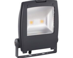 Floodlight Gambettola Pro 100W 6500K anthracite (RAL7016)