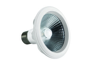 LED lamp PAR30, 10W, E27, 3000K, 700lm, 230V, 40°