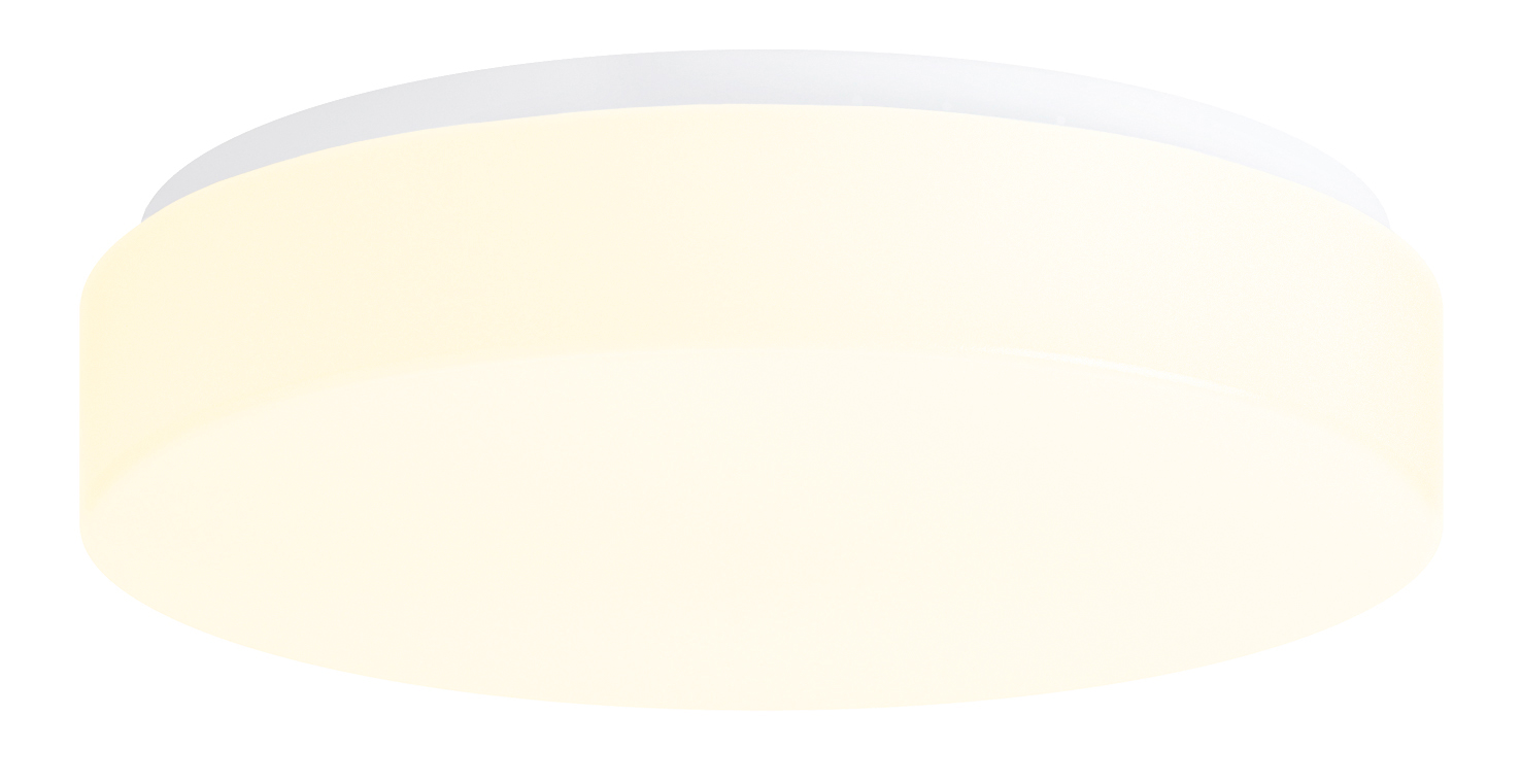 DELIA 1 LED 20W 2700lm 4000K IP54, Wall, ceiling lamps